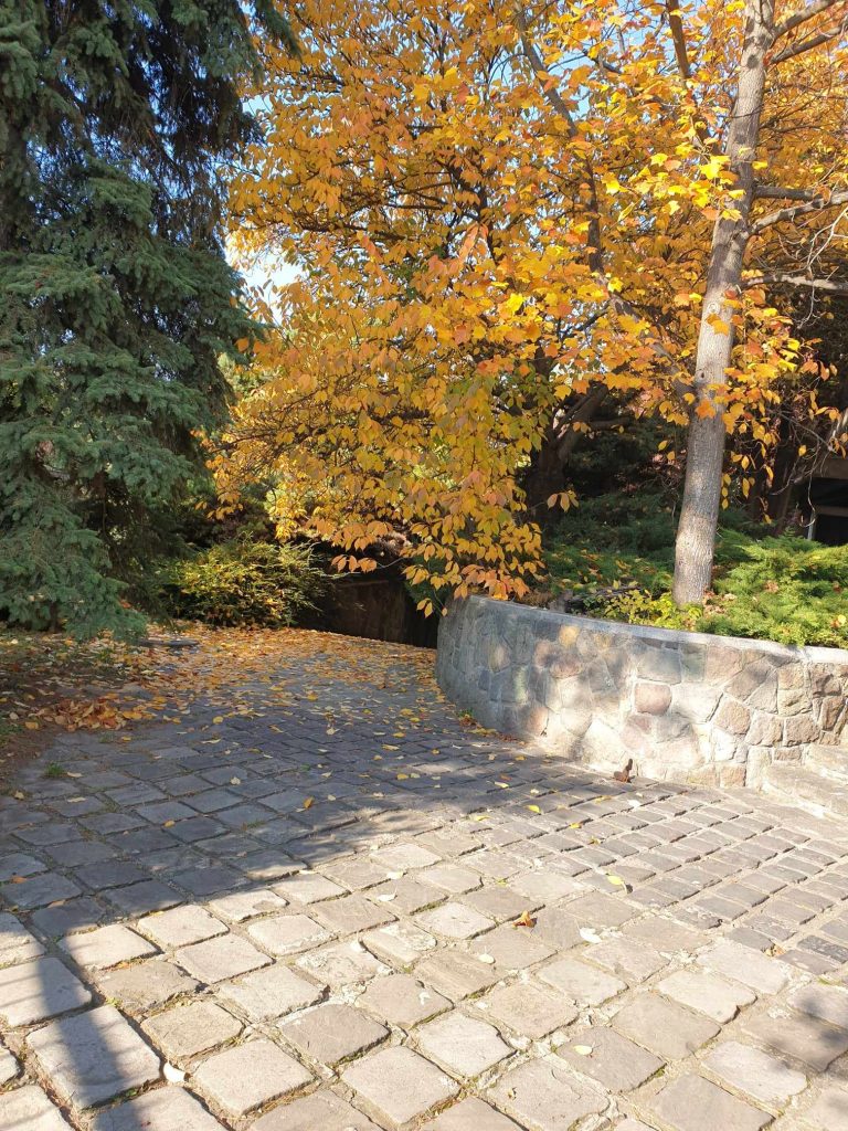 This image has an empty alt attribute; its file name is 355807583_5927557717348732_5462191024296973338_n-768x1024.jpg